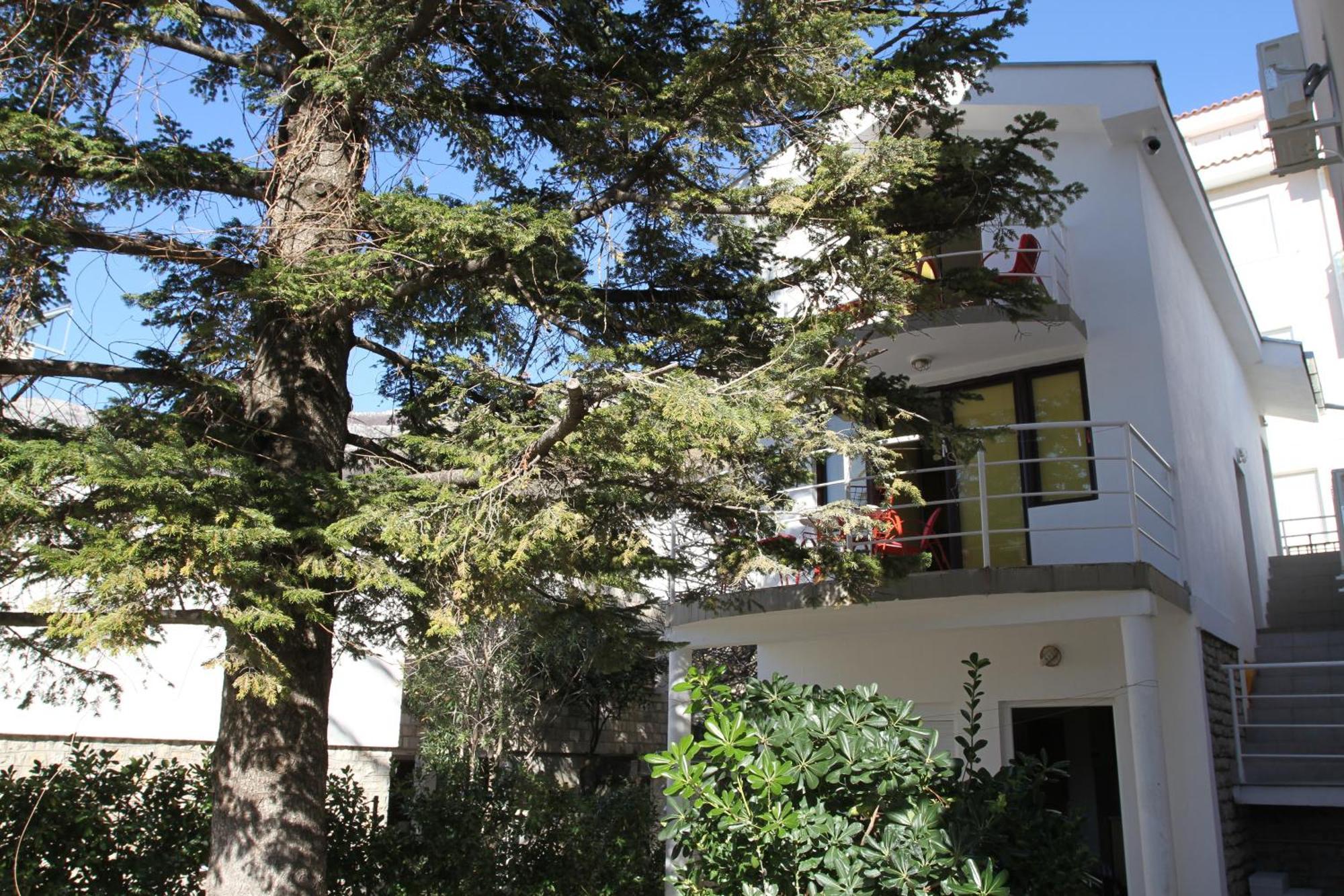 Apartments Popovic Petrovac Eksteriør bilde